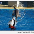 Marineland - Dauphins - Spectacle 14h15 - 0215
