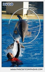 Marineland - Dauphins - Spectacle 14h15 - 0216