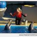 Marineland - Dauphins - Spectacle 14h15 - 0218