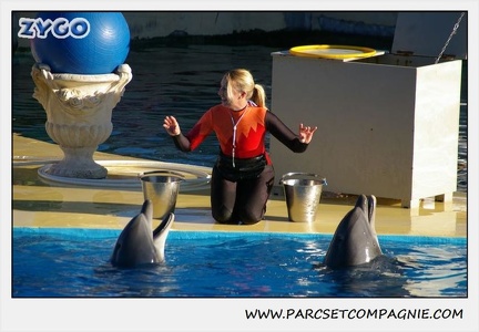 Marineland - Dauphins - Spectacle 14h15 - 0218