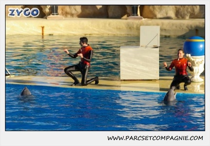 Marineland - Dauphins - Spectacle 14h15 - 0219
