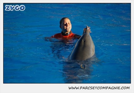 Marineland - Dauphins - Spectacle 14h15 - 0220