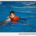 Marineland - Dauphins - Spectacle 14h15 - 0221