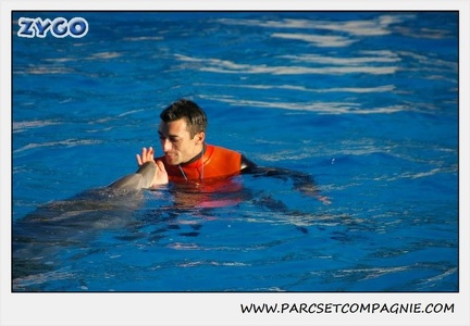 Marineland - Dauphins - Spectacle 14h15 - 0221