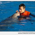Marineland - Dauphins - Spectacle 14h15 - 0222