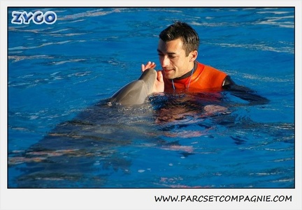 Marineland - Dauphins - Spectacle 14h15 - 0222