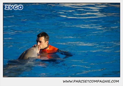 Marineland - Dauphins - Spectacle 14h15 - 0223