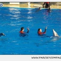 Marineland - Dauphins - Spectacle 14h15 - 0224