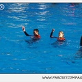 Marineland - Dauphins - Spectacle 14h15 - 0225