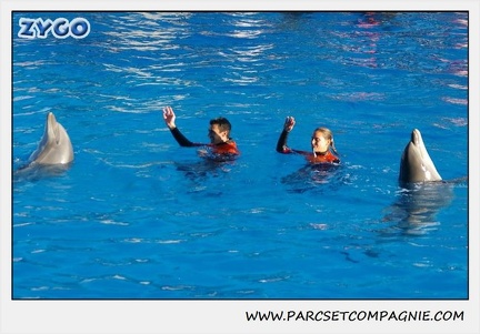 Marineland - Dauphins - Spectacle 14h15 - 0225