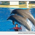Marineland - Dauphins - Spectacle 14h15 - 0226