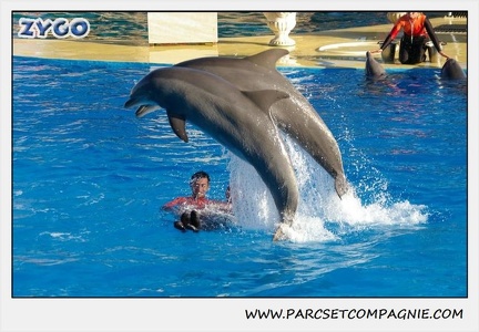 Marineland - Dauphins - Spectacle 14h15 - 0227
