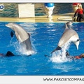 Marineland - Dauphins - Spectacle 14h15 - 0228