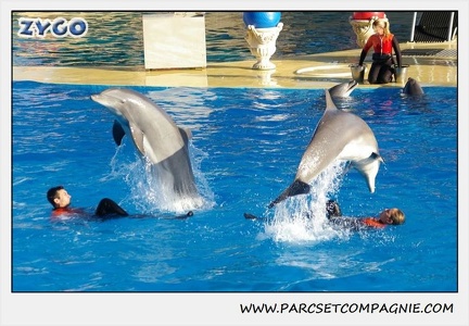 Marineland - Dauphins - Spectacle 14h15 - 0228