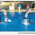 Marineland - Dauphins - Spectacle 14h15 - 0229