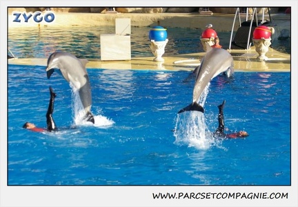Marineland - Dauphins - Spectacle 14h15 - 0229