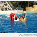 Marineland - Dauphins - Spectacle 14h15 - 0231