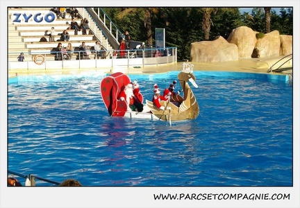 Marineland - Dauphins - Spectacle 14h15 - 0231