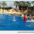 Marineland - Dauphins - Spectacle 14h15 - 0232