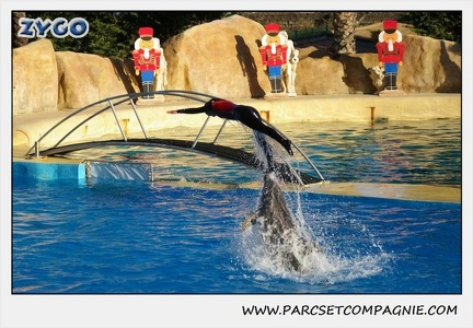 Marineland - Dauphins - Spectacle 14h15 - 0234