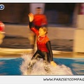 Marineland - Dauphins - Spectacle 17h15 - 0236