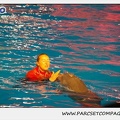 Marineland - Dauphins - Spectacle 17h15 - 0238