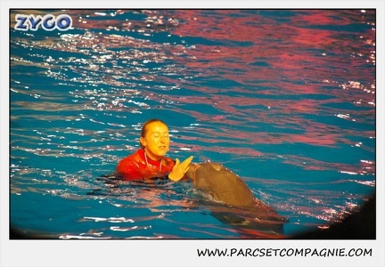 Marineland - Dauphins - Spectacle 17h15 - 0238