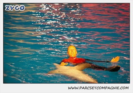 Marineland - Dauphins - Spectacle 17h15 - 0240