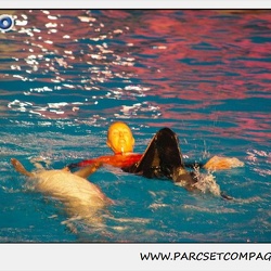 Marineland - Dauphins - Spectacle 17h15