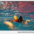 Marineland - Dauphins - Spectacle 17h15 - 0241