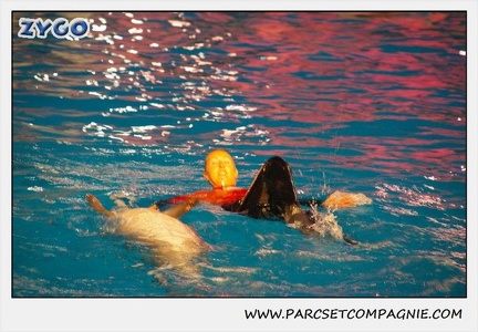 Marineland - Dauphins - Spectacle 17h15 - 0241
