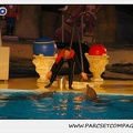 Marineland - Dauphins - Spectacle 17h15 - 0244