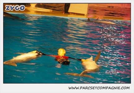 Marineland - Dauphins - Spectacle 17h15 - 0247