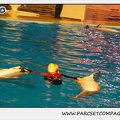 Marineland - Dauphins - Spectacle 17h15 - 0248