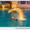 Marineland - Dauphins - Spectacle 17h15 - 0249