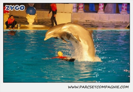 Marineland - Dauphins - Spectacle 17h15 - 0249