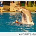 Marineland - Dauphins - Spectacle 17h15 - 0250