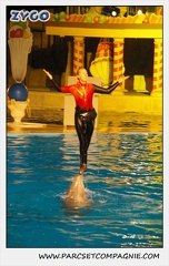 Marineland - Dauphins - Spectacle 17h15 - 0251