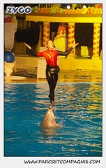 Marineland - Dauphins - Spectacle 17h15 - 0252