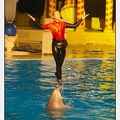 Marineland - Dauphins - Spectacle 17h15 - 0252