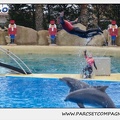 Marineland - Dauphins - Spectacle 14h30 - 0098