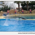 Marineland - Dauphins - Spectacle 14h30 - 0099