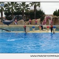 Marineland - Dauphins - Spectacle 14h30 - 0100