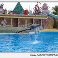 Marineland - Dauphins - Spectacle 14h30 - 0101