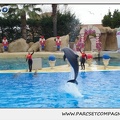 Marineland - Dauphins - Spectacle 14h30 - 0102