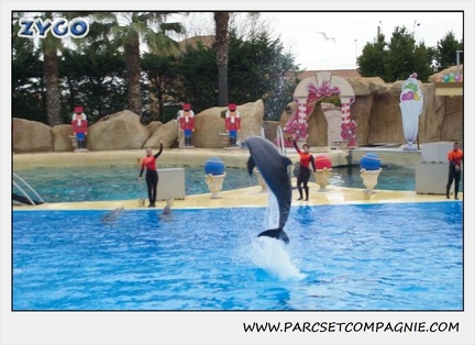 Marineland - Dauphins - Spectacle 14h30 - 0102