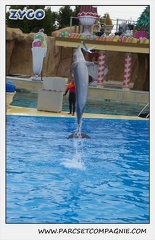 Marineland - Dauphins - Spectacle 14h30 - 0103