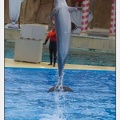 Marineland - Dauphins - Spectacle 14h30 - 0104