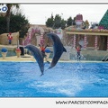 Marineland - Dauphins - Spectacle 14h30 - 0105