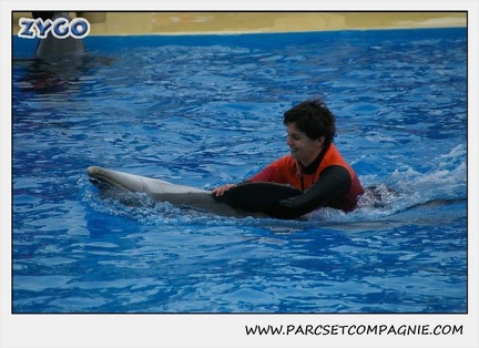 Marineland - Dauphins - Spectacle 14h30 - 0107